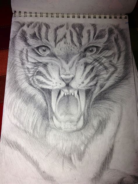 My tiger sketch(ebony pencil)