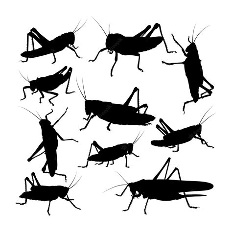 Premium Vector Grasshopper Insect Silhouettes