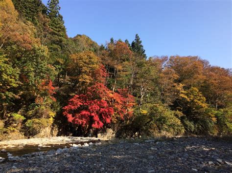 【中津川村キャンプ場】アクセス・営業時間・料金情報 じゃらんnet