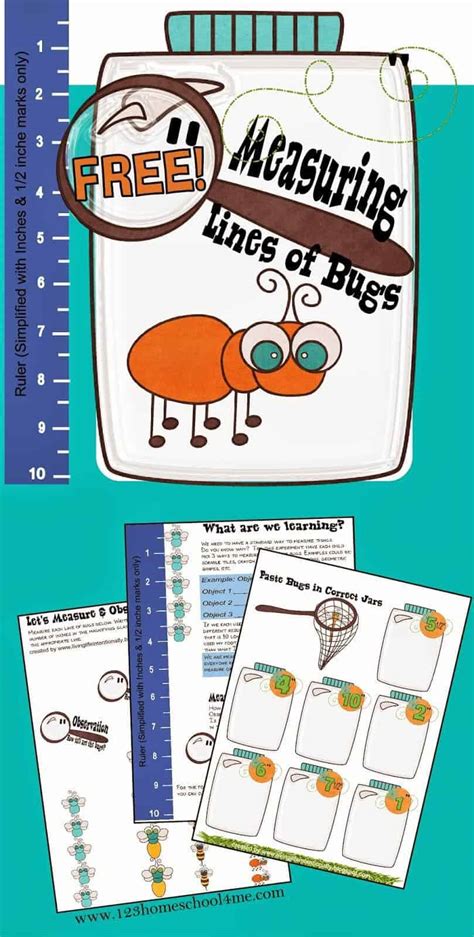 Ruler Template For Kindergarten