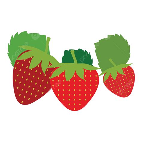 Gambar Ilustrasi Vektor Strawberry Stroberi Ilustrasi Stroberi Png