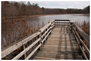 Beaver Lake Trail – Virginia Trail Guide