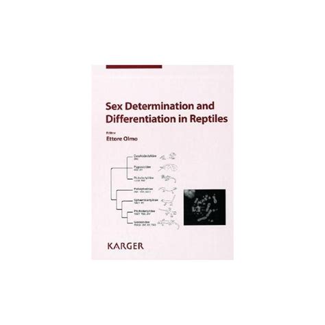Sex Determination And Differentiation In Reptiles