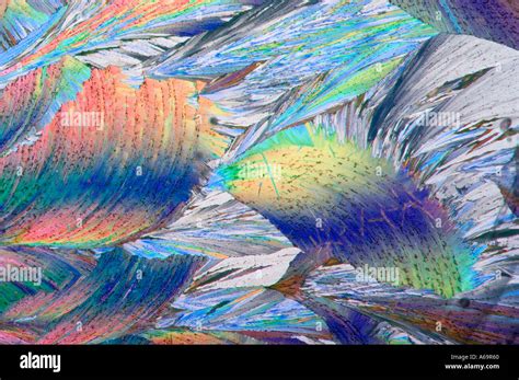 Hippuric acid crystals photomicrograph crossed polarized lighting Stock Photo - Alamy