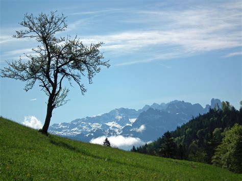 Blick zu Dachstein und Bischofsmütze Tennengau