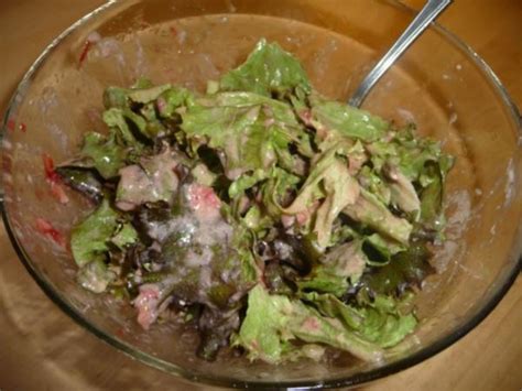 Blattsalat Mit Erdbeer Joghurt Dressing Rezept Kochbar De