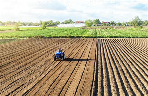 agricultor em um trator cultiva a terra após a colheita