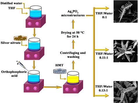 Schematic Illustration Of The Synthesis Procedure Of Hierarchically Riset