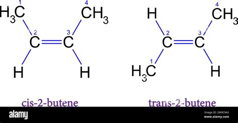 Estructura Qu Mica Del T Tulo De Is Meros Trans Cis Ilustraci N