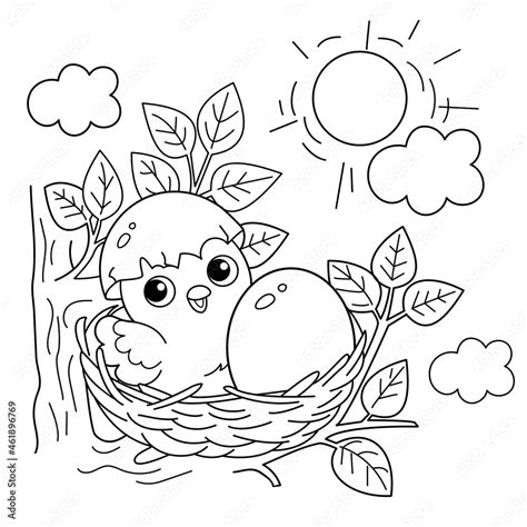 Coloring Pages Of Birds Nests