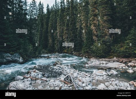 Canada British Columbia Columbia Shuswap A Glacier Nationalpark