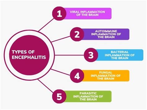 Encephalitis: What It Is, Causes, Symptoms, & Treatment - TV Health