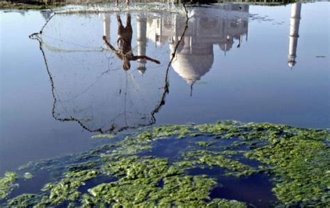 The Digusting Pollution in India’s River (14 pics) - Izismile.com