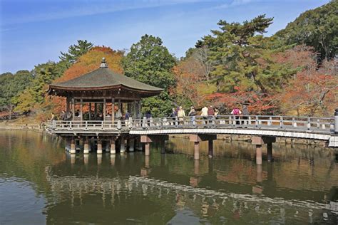 Nara Park | POP JAPAN