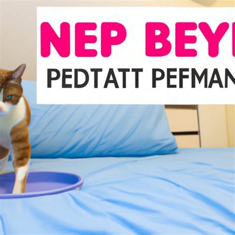 How Do I Stop My Cat From Peeing On My Bed At Gabriella Salome Blog