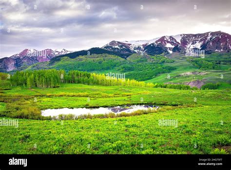 Green Aspen Trees Forest And Stormy Sky In Crested Butte Colorado Snodgrass Hiking Trail In