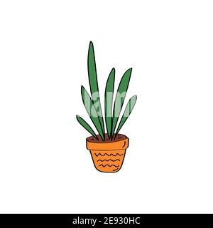 Sansevieria Sign House Plant Flowers In Pot Hand Drawn Vector Doodle