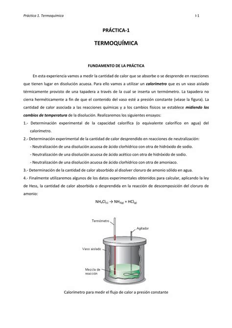 PDF INTRODUCCIÓN A LA PRÁCTICA DE TERMOQUÍMICAorganica practicas 16