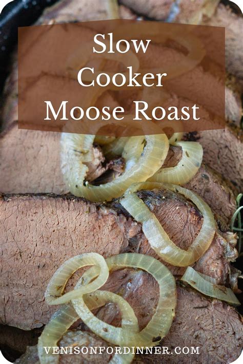 Slow Cooker Moose Roast - Venison for Dinner