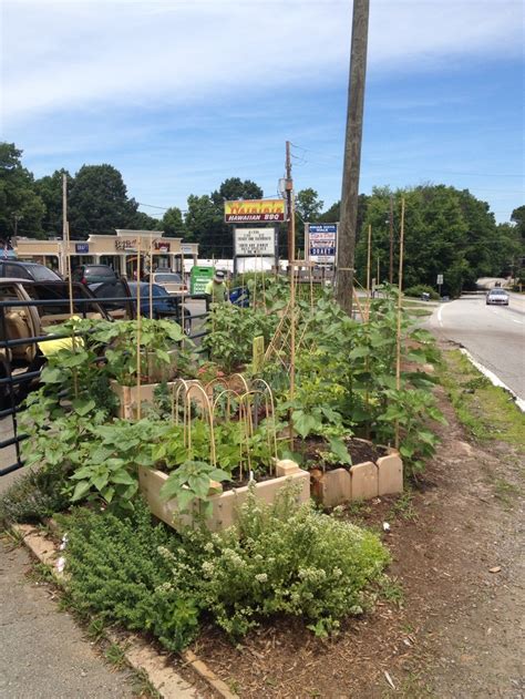 Edible Streetscape Garden At Farmer D Organics Plants Farmer Organic