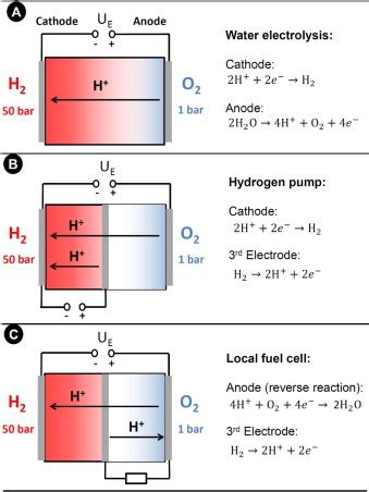 Water Electrolysis Equation - Diy Projects