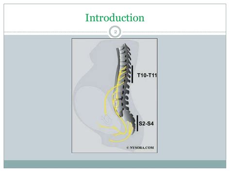 Neurological Complications Of Regional Anesthesia In Obstetrics Ppt