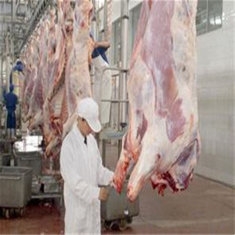 Meat Processing Machine Cow Beef Abattoir Cattle Slaughterhouse China