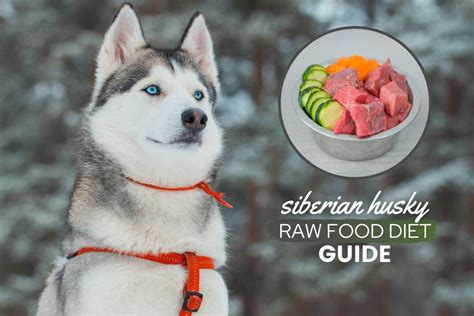 German Shepherd Raw Food Diet Guide: Recipes, Benefits & FAQs - Canine Bible