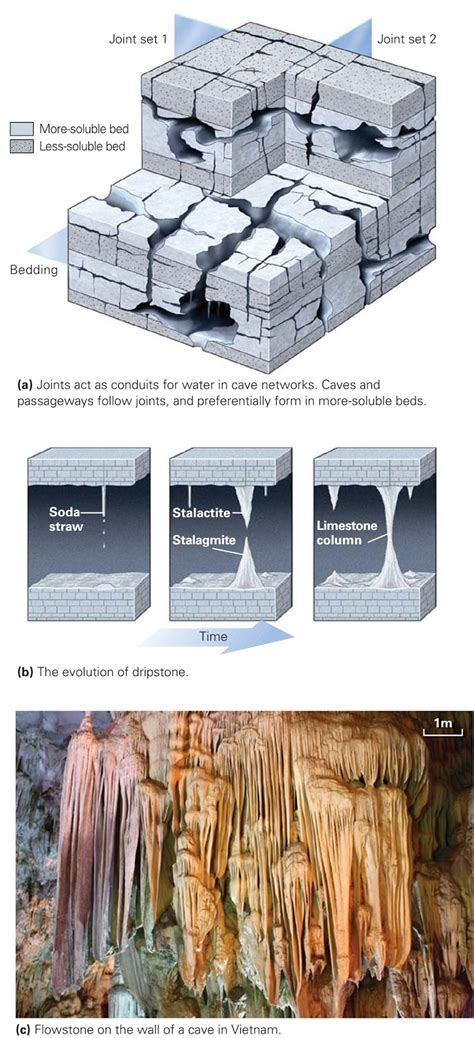 Limestone Caves Diagram