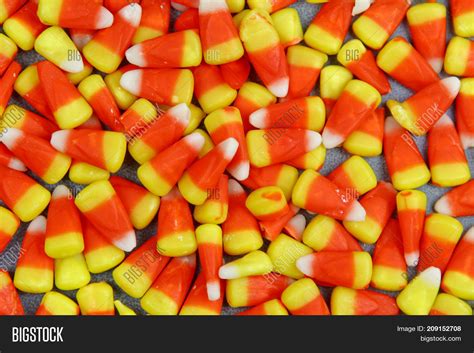 Yellow Orange Corn Image & Photo (Free Trial) | Bigstock