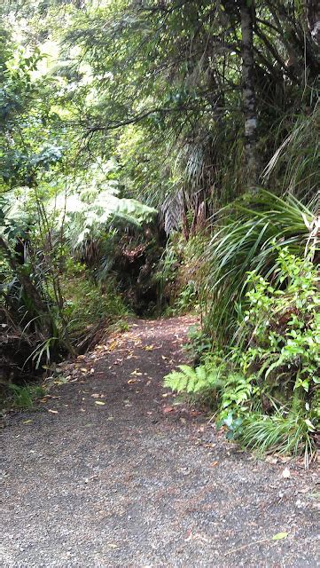 The Cynical Sailor His Salty Sidekick Going For A Walk Waitakere