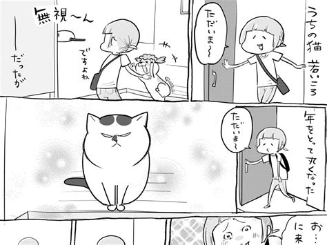 歳を取って丸くなったお猫様、飼い主を玄関までお出迎えかと思いきや… – トレンド＆ライフスタイルメディア『grape』