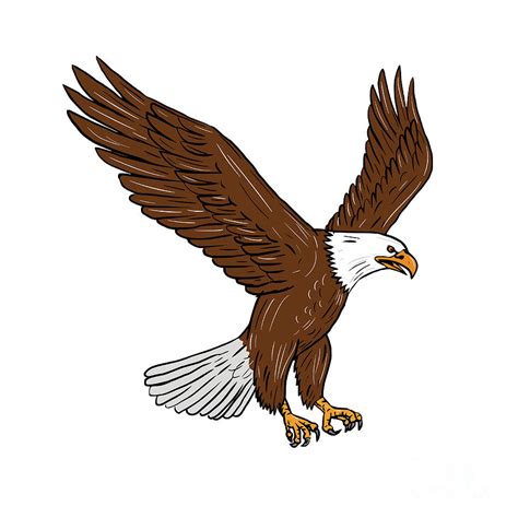 Bald Eagle Flying Drawing Digital Art by Aloysius Patrimonio - Fine Art ...