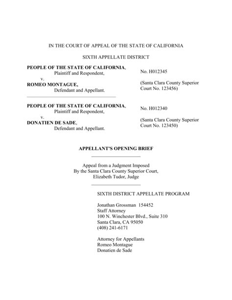 IN THE COURT OF APPEAL OF THE STATE OF CALIFORNIA