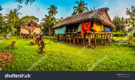 1,144 Housing Papua New Guinea Images, Stock Photos & Vectors ...