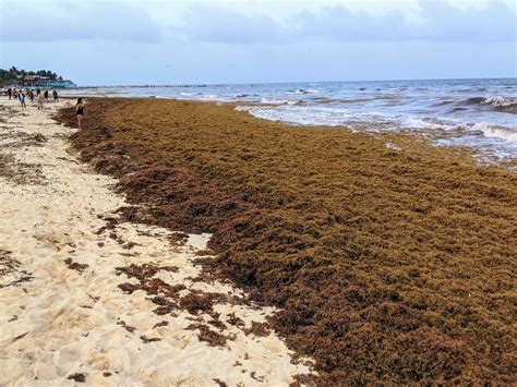 Exploring Abroad: Is Playa del Carmen "The One"?