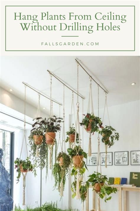 How To Hang Plants From Ceiling Without Drilling FallsGarden