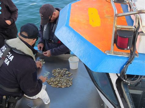 Polícia Marítima fiscaliza pesca no interior da Ria Formosa