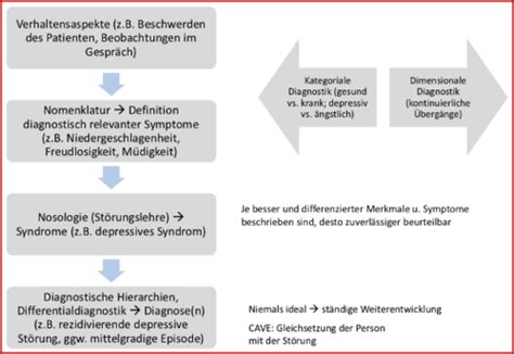 Diagnostik Und Klassifikation Psychischer St Rungen Karteikarten