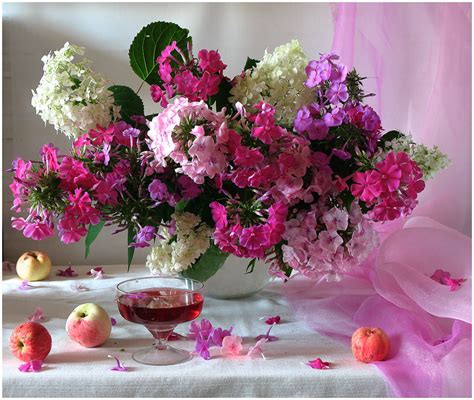 Фотография Флоксы., автор Ира Быкова