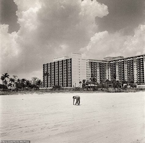 Photographs Capture The Diverse And Eccentric People Who Made Up Miami