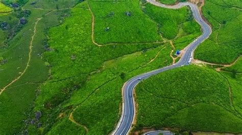 Gap Road Munnar- Photos of Scenic Drive in Kerala That Will Leave You ...