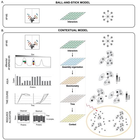 Novel Biochemical Structural And Systems Insights Into Inflammatory