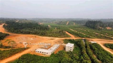 Terrains Terrain 200m² Lendi au Cameroun CoinAfrique Cameroun