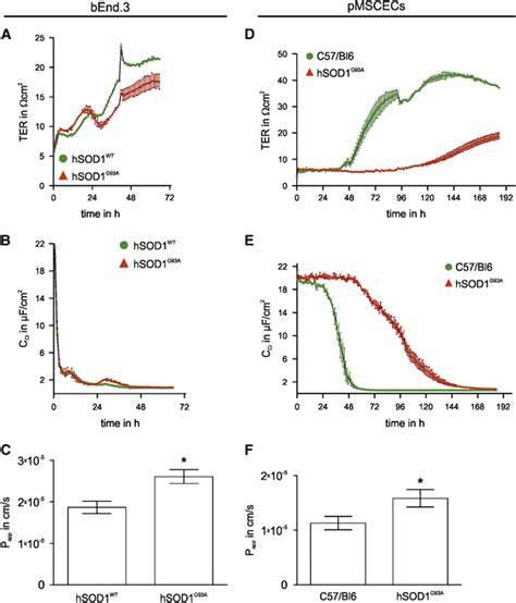 Impaired Integrity Of Hsod G A Endothelial Cells Ac Stable Hsod Wt