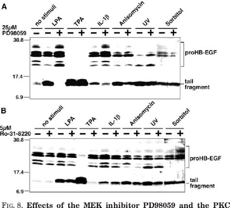 Figure 8 From The Stress And Inflammatory Cytokine Induced Ectodomain