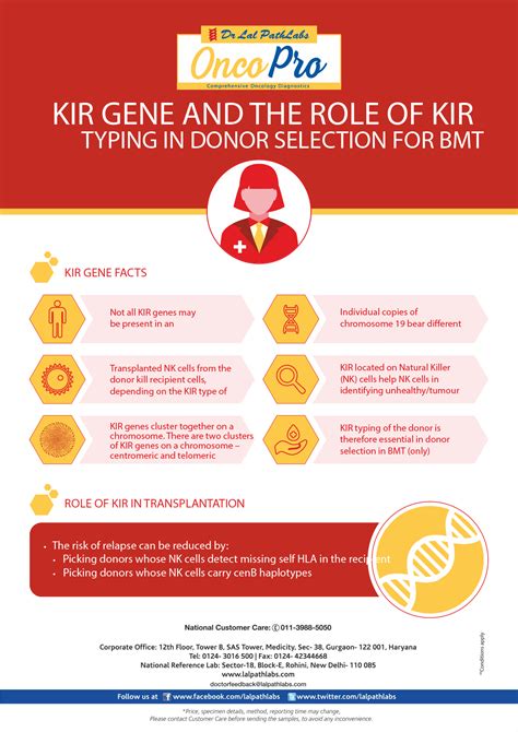 Kir Gene And The Role Of Kir Typing In Donor Selection For Bmt Dr Lal