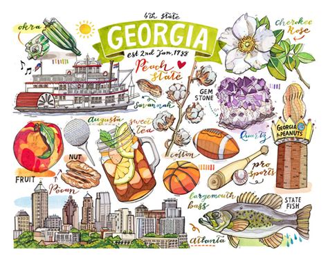 Georgia State Print Illustration The Peach State Etsy