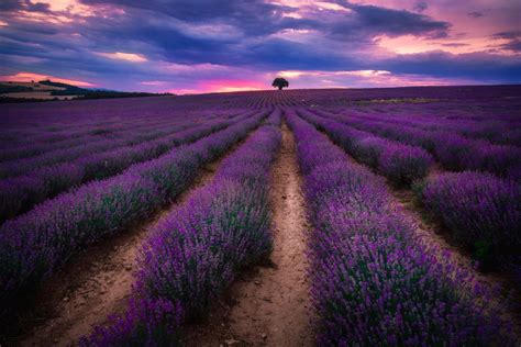 Fondos De Pantalla Campo De Hierba Verde Bajo El Cielo Nublado Durante