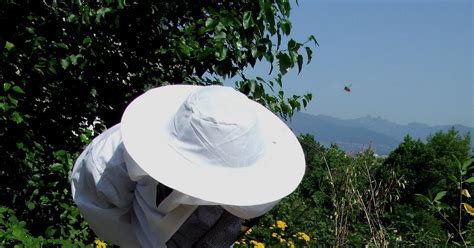 Joe Jonas Alizee Ass Emma Watson Candid Arianny Celeste Play There Are Very Few Photos